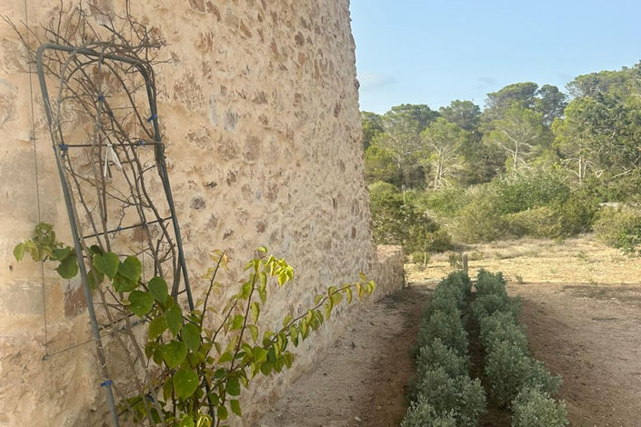 Image No.22-Finca de 2 chambres à vendre à La Savina