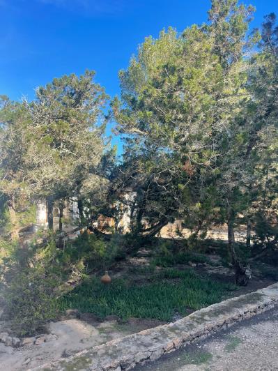 Image No.39-Villa / Détaché de 3 chambres à vendre à Cala Saona 