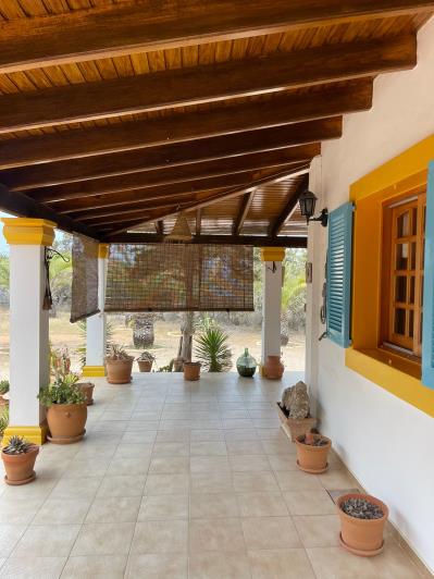 Image No.35-Finca de 4 chambres à vendre à San Francisco Javier