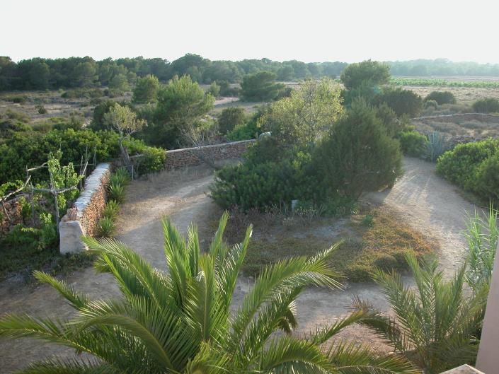 Image No.4-Villa de 2 chambres à vendre à Pila de la Mola 