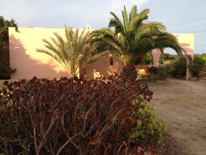 Image No.5-Villa de 2 chambres à vendre à Pila de la Mola 