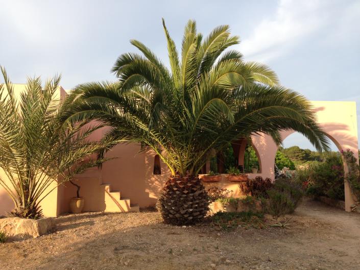 Image No.6-Villa de 2 chambres à vendre à Pila de la Mola 