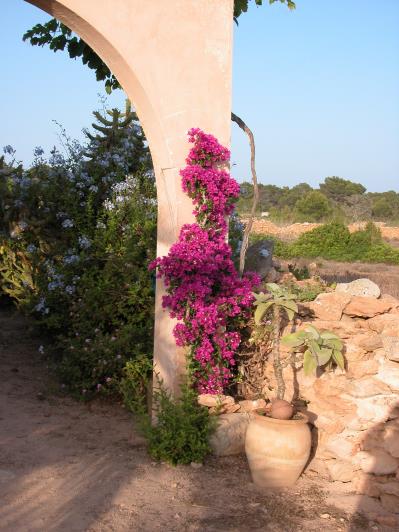 Image No.7-Villa de 2 chambres à vendre à Pila de la Mola 