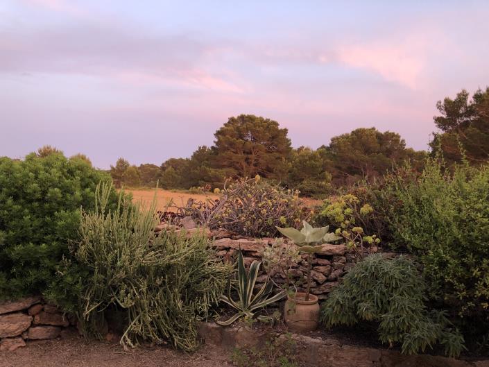 Image No.30-Villa de 2 chambres à vendre à Pila de la Mola 