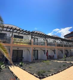 IMG_8049Amaya-Watermarked