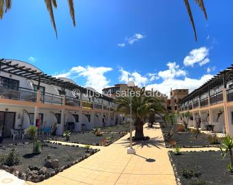 IMG_8048Amaya-Watermarked