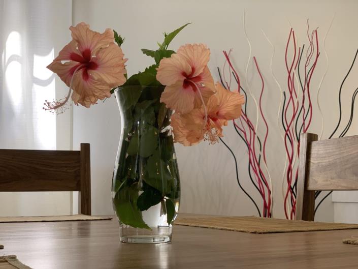 Image No.46-6 Bed House for sale