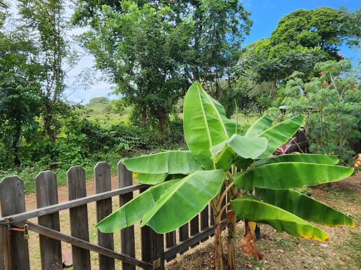 Image No.23-2 Bed House for sale