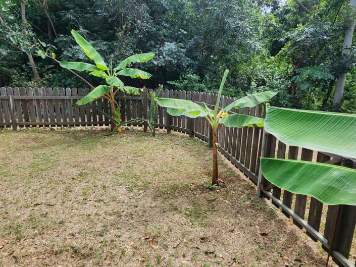 Image No.31-2 Bed House for sale