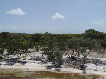 5611681156037DJI_0585-1-