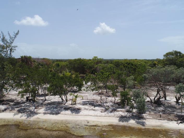 Image No.2-Land for sale