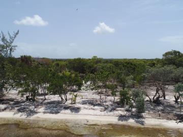 5611681156032DJI_0584