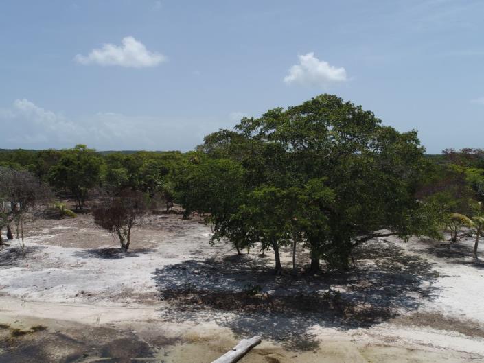 Image No.3-Land for sale