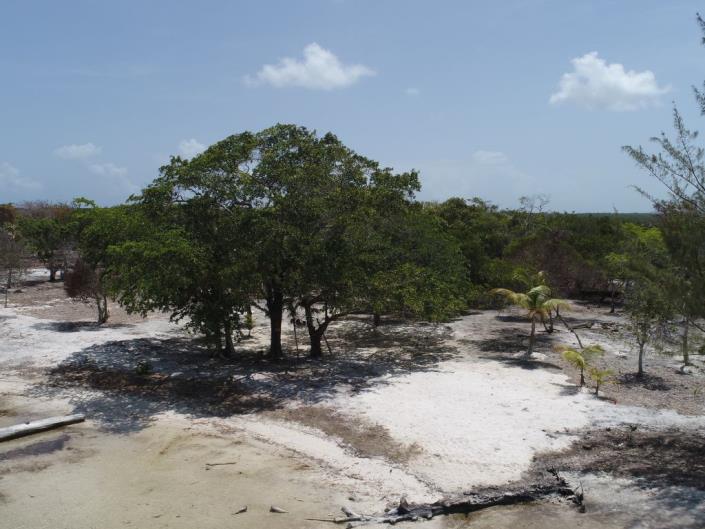 Image No.5-Land for sale