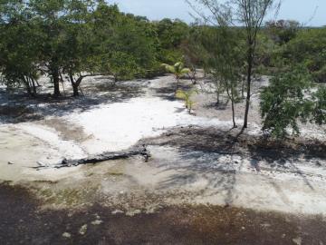 5611681156041DJI_0595