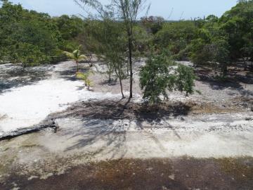 5611681156201DJI_0596
