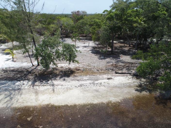 Image No.8-Land for sale