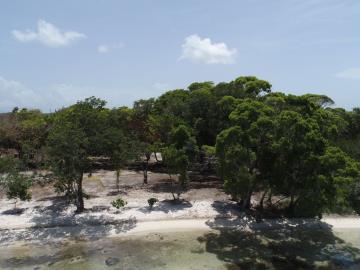 5611681156211DJI_0603