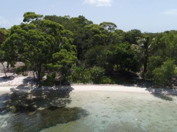 5611681156212DJI_0604