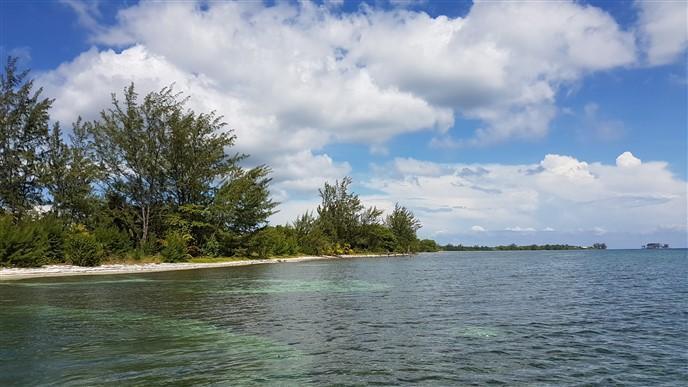 Image No.5-Land for sale