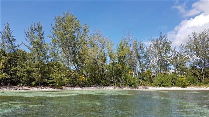 Image No.6-Land for sale