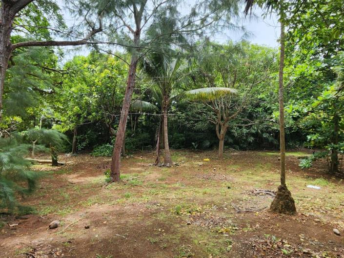 Image No.5-3 Bed House for sale