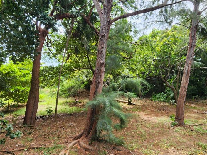 Image No.6-3 Bed House for sale