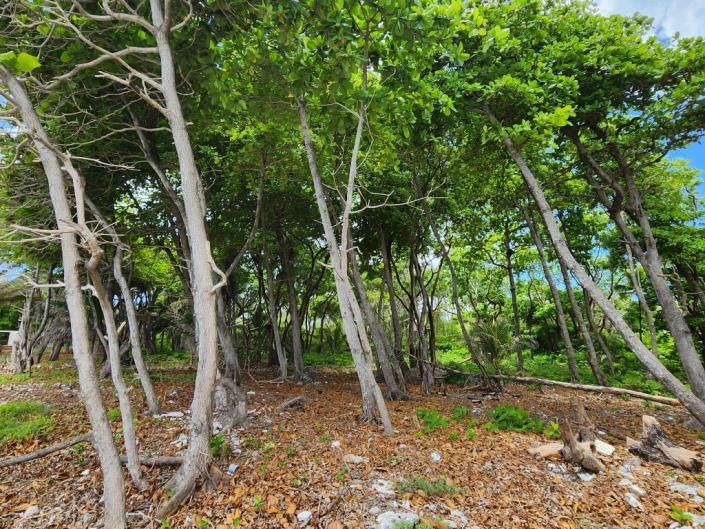 Image No.9-Land for sale