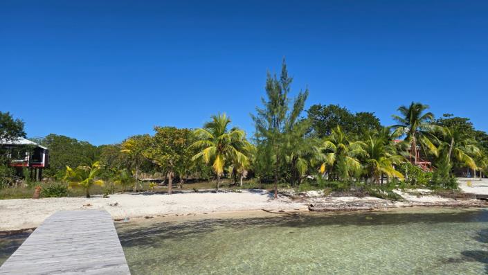 Image No.5-Terre à vendre à 