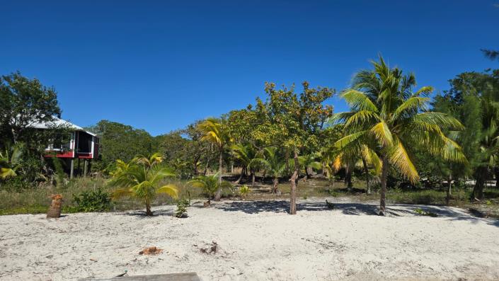 Image No.6-Terre à vendre à 