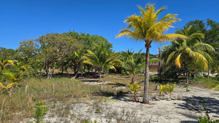 Image No.7-Terre à vendre à 