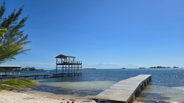 Image No.4-Terre à vendre à 