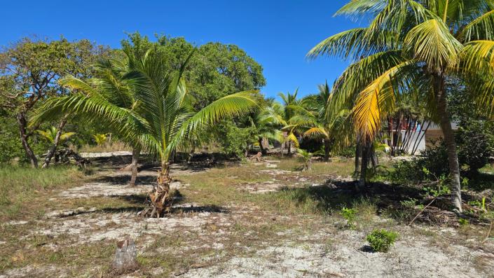 Image No.10-Terre à vendre à 