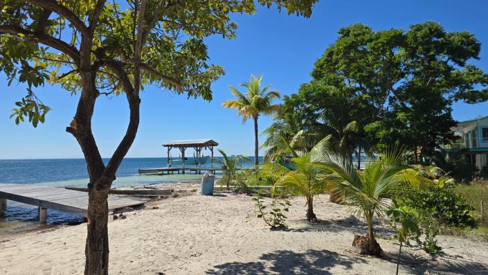 Image No.2-Terre à vendre à 