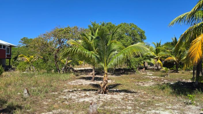 Image No.9-Terre à vendre à 