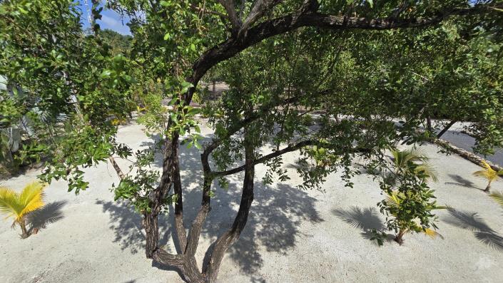 Image No.49-3 Bed House for sale