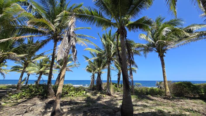 Image No.2-Land for sale