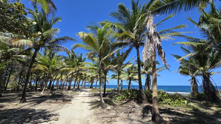 Image No.3-Land for sale