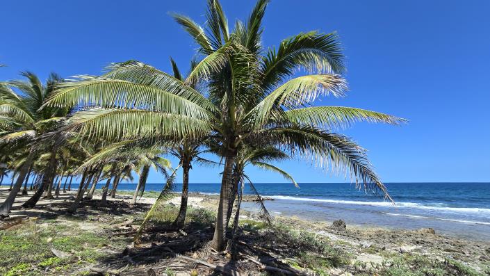 Image No.5-Land for sale