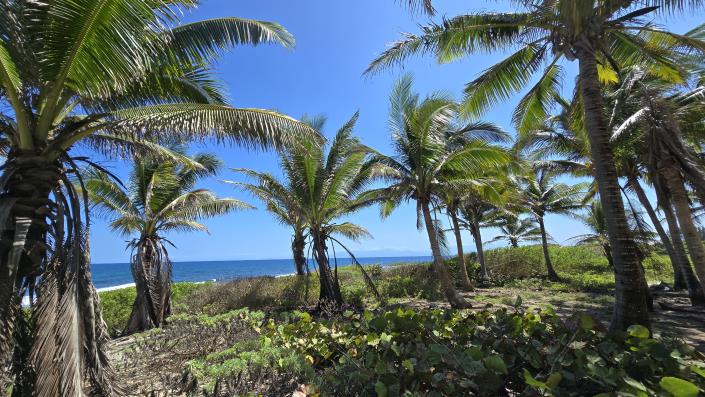 Image No.4-Land for sale