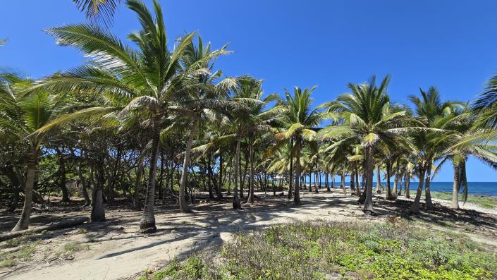 Image No.7-Land for sale