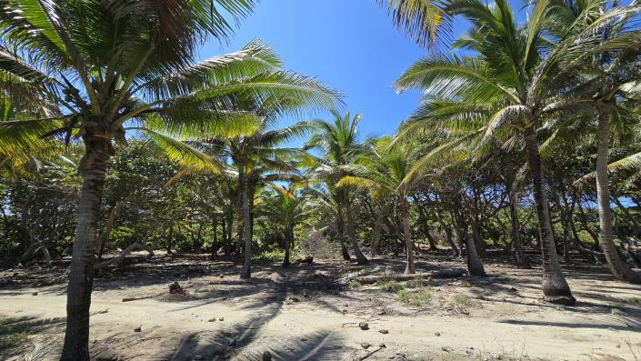 Image No.8-Land for sale