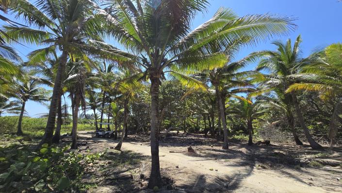 Image No.9-Land for sale