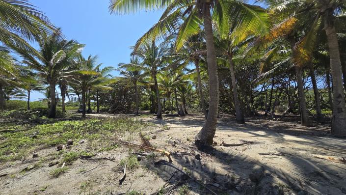 Image No.15-Land for sale