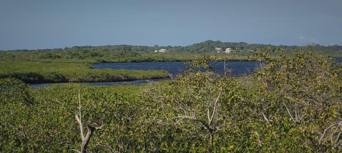 Image No.9-4 Bed House for sale