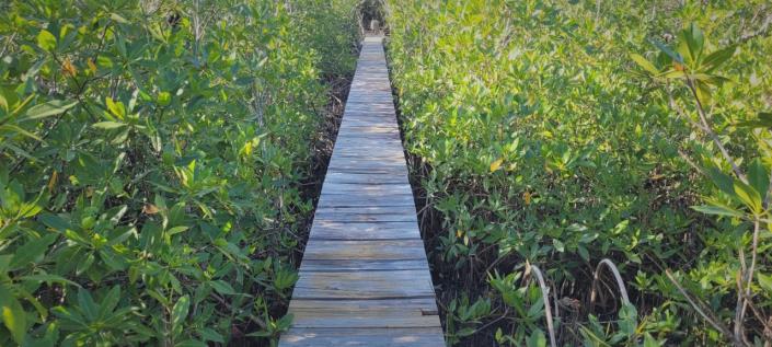 Image No.10-4 Bed House for sale