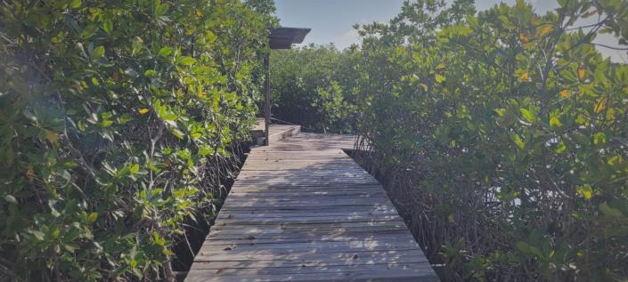 Image No.17-4 Bed House for sale