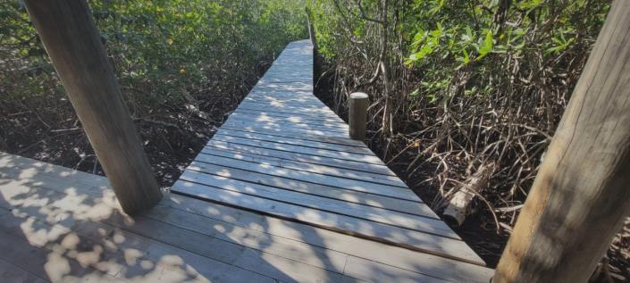 Image No.28-4 Bed House for sale