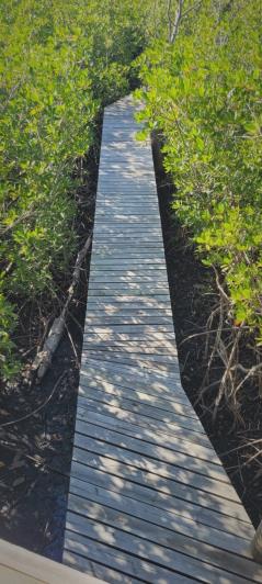 Image No.37-4 Bed House for sale