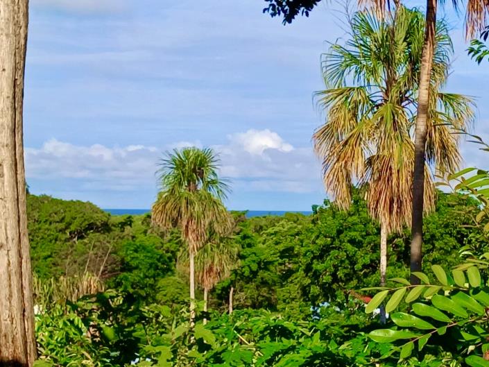 Image No.2-2 Bed House for sale